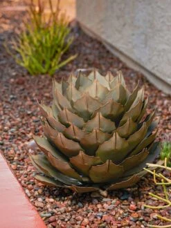 Desert Steel Artichoke Agave Sculpture -Cheap A Fresh Yard Store 8610761 042v