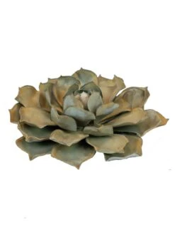 Desert Steel Blue Rose Succulent Sculpture -Cheap A Fresh Yard Store 8610763 01v desert steel blue rose succulent small