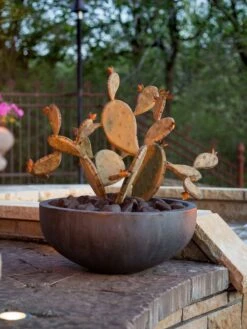 Desert Steel Prickly Pear Cactus Sculpture, Redondo -Cheap A Fresh Yard Store 8610768 03v