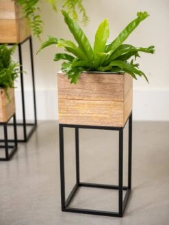 Tartu Elevated Square Planters 15 Tartu Elevated Square Planters -Cheap A Fresh Yard Store 8611005 035