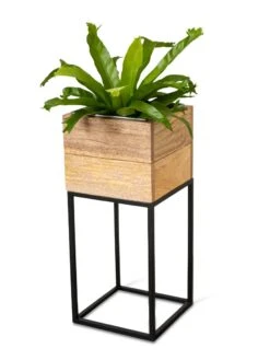 Tartu Elevated Square Planters 20 Tartu Elevated Square Planters -Cheap A Fresh Yard Store 8611005 036