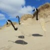 Florida Dancing Birds®, Canada Goose 2 Florida Dancing Birds®, Canada Goose -Cheap A Fresh Yard Store 8611633 01v florida dancing birds canada goose