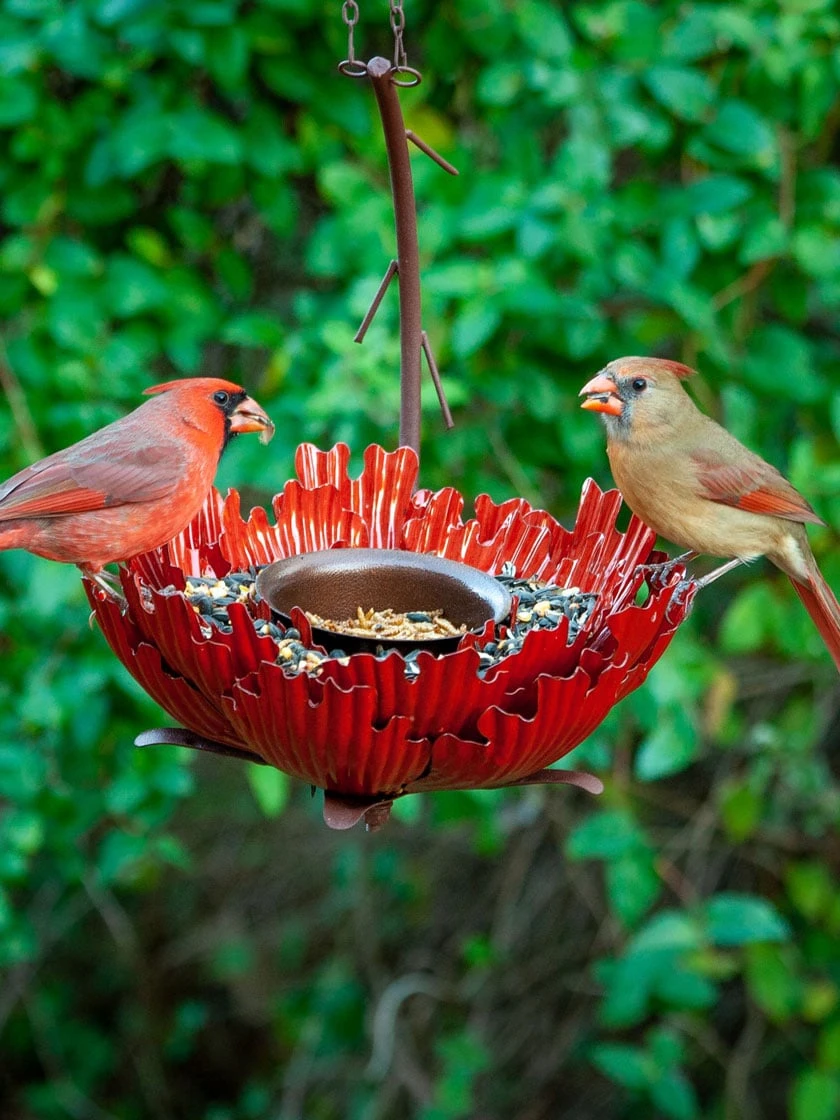 Desert Steel Sunset Peony Bird Feeder 4 Desert Steel Sunset Peony Bird Feeder - Image 2