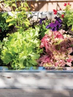 Re-Markable Raised Bed Trim -Cheap A Fresh Yard Store 8611758 306 tif