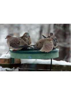 All Seasons 3-in-1 Heated Birdbath -Cheap A Fresh Yard Store 8611832 01v