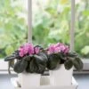 Stoneware Self-Watering Windowsill Planters, Set Of 2 1 Stoneware Self-Watering Windowsill Planters, Set Of 2 -Cheap A Fresh Yard Store 8611890 4396 tif