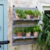 VegTrug® Herb Rack -Cheap A Fresh Yard Store 8611930 6402 tif