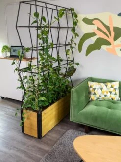 Self-Watering Partition Planter -Cheap A Fresh Yard Store 8611952 001 tif