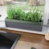Provence Self-Watering Herb Planter -Cheap A Fresh Yard Store 8611965 01V tif