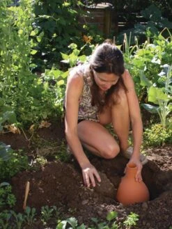 Hydro Max Watering System -Cheap A Fresh Yard Store 8611967 15V tif