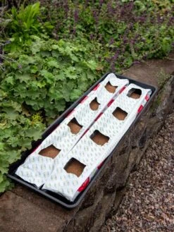 Berry Blend Coir Grow Bag, Set Of 2 -Cheap A Fresh Yard Store 8611968 361 tif