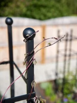 Essex Square Obelisk 12 Essex Square Obelisk -Cheap A Fresh Yard Store 8611984 278 tif