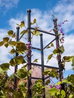 Essex Square Obelisk 10 Essex Square Obelisk -Cheap A Fresh Yard Store 8611984 354 tif