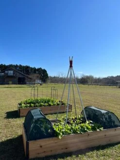 Insect And Pest Net Row Protector 11 Insect And Pest Net Row Protector -Cheap A Fresh Yard Store 8611985 04 tif