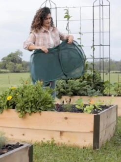 Insect And Pest Net Row Protector 12 Insect And Pest Net Row Protector -Cheap A Fresh Yard Store 8611985 8389 tif