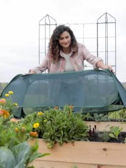 Insect And Pest Net Row Protector 13 Insect And Pest Net Row Protector -Cheap A Fresh Yard Store 8611985 8390 tif