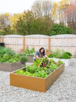 Somerset Metal Raised Beds, As Is -Cheap A Fresh Yard Store 8612020 0014 tif