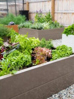 Somerset Metal Raised Beds, As Is -Cheap A Fresh Yard Store 8612020 002 tif