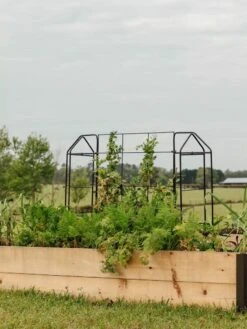 Cheap A Fresh Yard Store -Cheap A Fresh Yard Store 8612035 549 tif