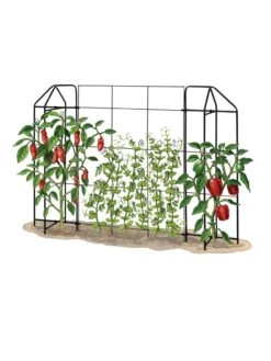 Zenith Trellis -Cheap A Fresh Yard Store 8612035 art tif