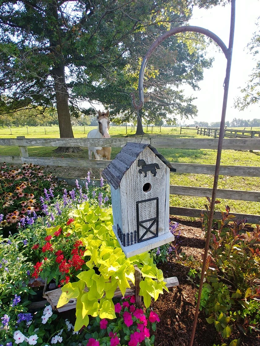 Summitville Stable Bird House 3 Summitville Stable Bird House