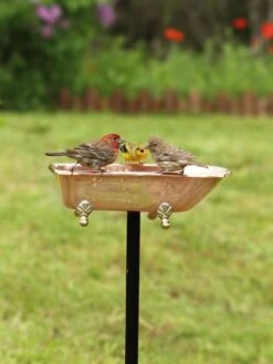 Copper Bathtub Birdbath 13 Copper Bathtub Birdbath -Cheap A Fresh Yard Store 8612202 01v copper bathtub birdbath