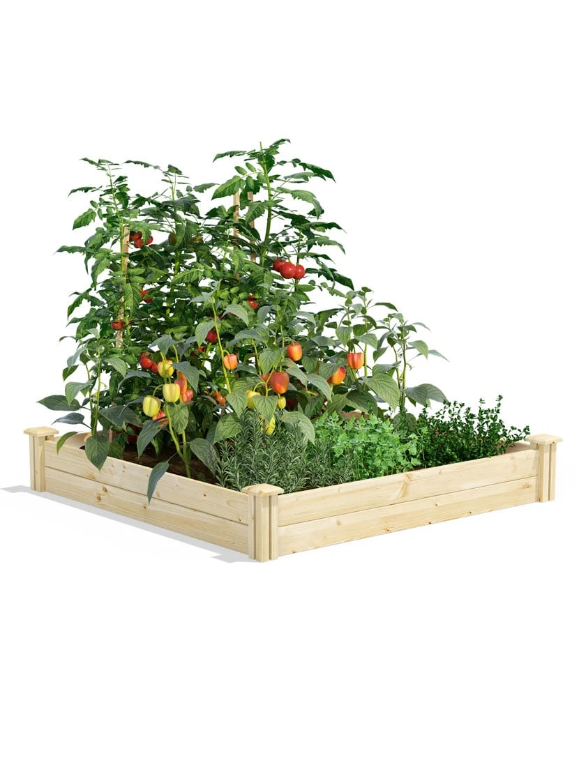 Pine Raised Garden Beds, 4'x4' 3 Pine Raised Garden Beds, 4'x4'