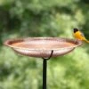 Copper Birdbath, 18" With Stake 2 Copper Birdbath, 18" With Stake -Cheap A Fresh Yard Store 8612271 01V copper birdbath 18 inch with stake