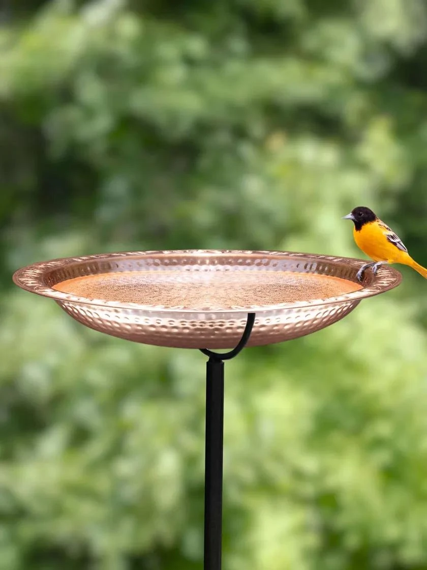 Copper Birdbath, 18" With Stake 3 Copper Birdbath, 18" With Stake