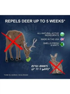 Grandpa Gus's Deer & Rabbit Repellent Spray 8 Grandpa Gus's Deer & Rabbit Repellent Spray -Cheap A Fresh Yard Store 8612427 04V 3 4