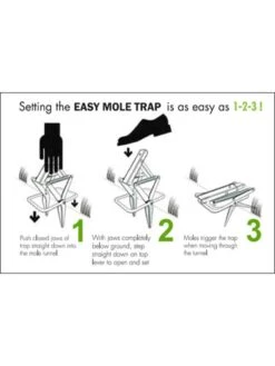 Easy Mole Trap 8 Easy Mole Trap -Cheap A Fresh Yard Store 8612557 04v 1