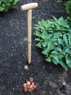 Wicked Big Dibber -Cheap A Fresh Yard Store 8612667 0028