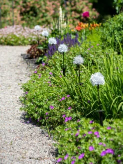 Dandelion Solar Stake 10 Dandelion Solar Stake -Cheap A Fresh Yard Store 8612713 4472