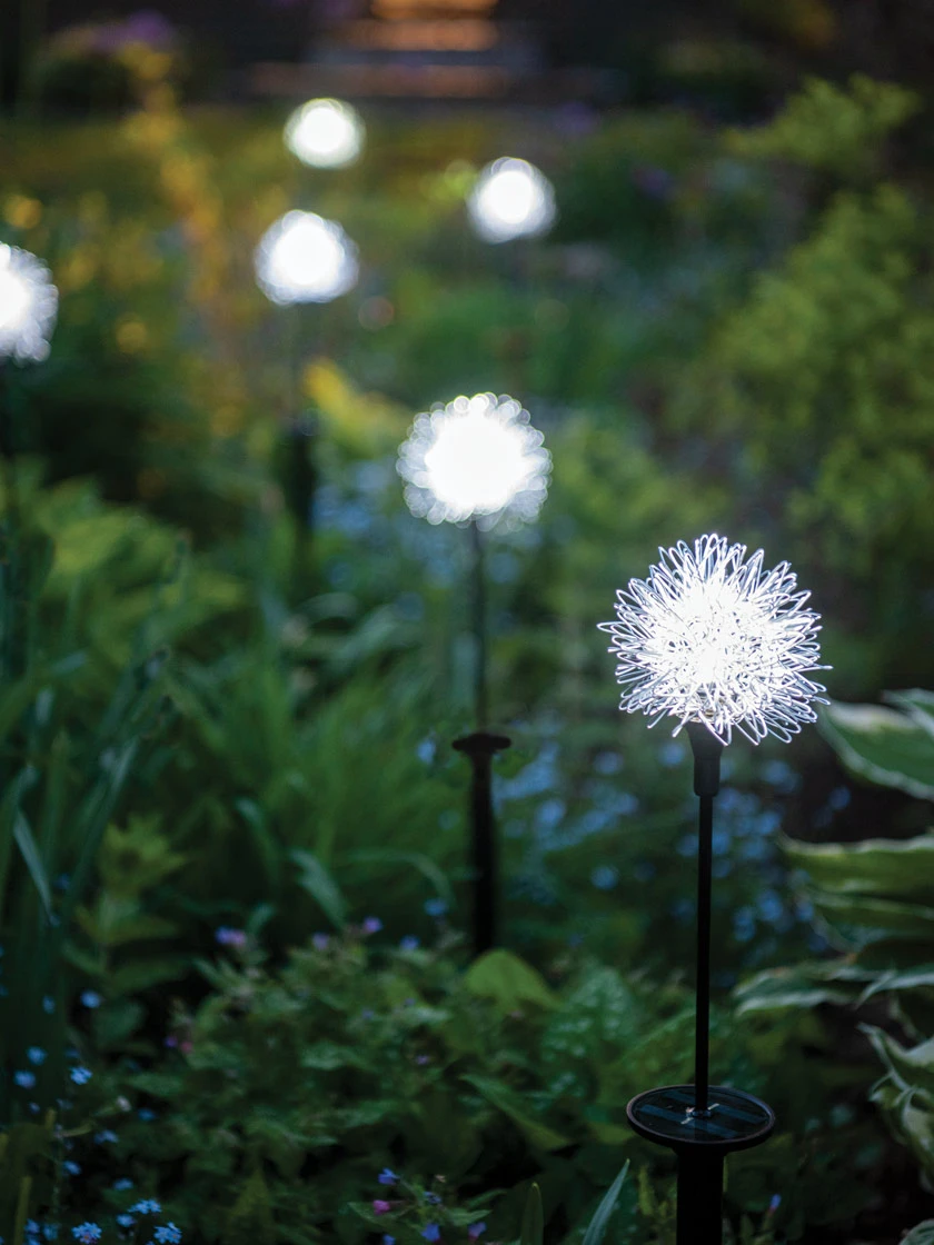 Dandelion Solar Stake 3 Dandelion Solar Stake