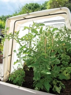 Metal Medium Garden Clips 2.25", Set Of 18 6 Metal Medium Garden Clips 2.25", Set Of 18 -Cheap A Fresh Yard Store 8612815 0038