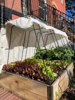 Zenith Garden Hoops, Set Of 4 -Cheap A Fresh Yard Store 8612816 01CUST