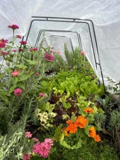 Zenith Garden Hoops, Set Of 4 -Cheap A Fresh Yard Store 8612816 01TEST 1