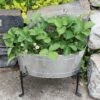 Achla Designs Mini Oval Galvanized Tub With Folding Stand 1 Achla Designs Mini Oval Galvanized Tub With Folding Stand -Cheap A Fresh Yard Store 8612906 02v achla designs mini oval galvanized tub with folding stand