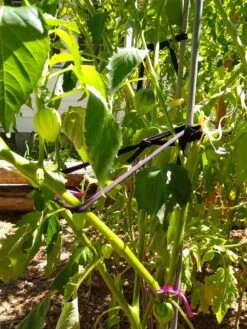 Farmyarn® Multipurpose Garden Tie, 2 Pack -Cheap A Fresh Yard Store 8612948 02v