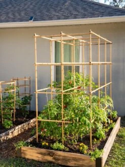 Tomato Six Pack Support 12 Tomato Six Pack Support -Cheap A Fresh Yard Store 8613143 6970