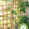 Bamboo Zig-Zag Trellis 24" X 36" -Cheap A Fresh Yard Store 8613151 15