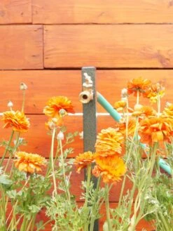 Yard Butler® Hose Bibe Extender 6 Yard Butler® Hose Bibe Extender -Cheap A Fresh Yard Store 8613160 01v