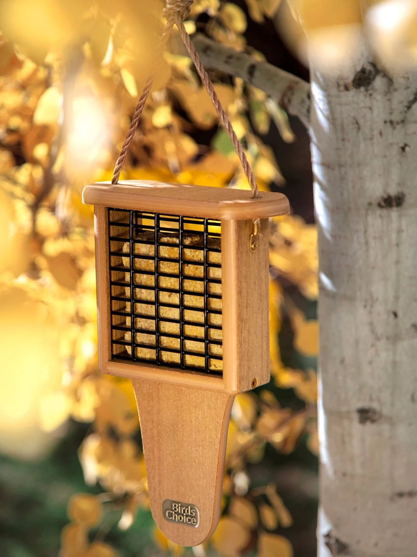 Spruce Creek Tail Prop Suet Feeder 3 Spruce Creek Tail Prop Suet Feeder