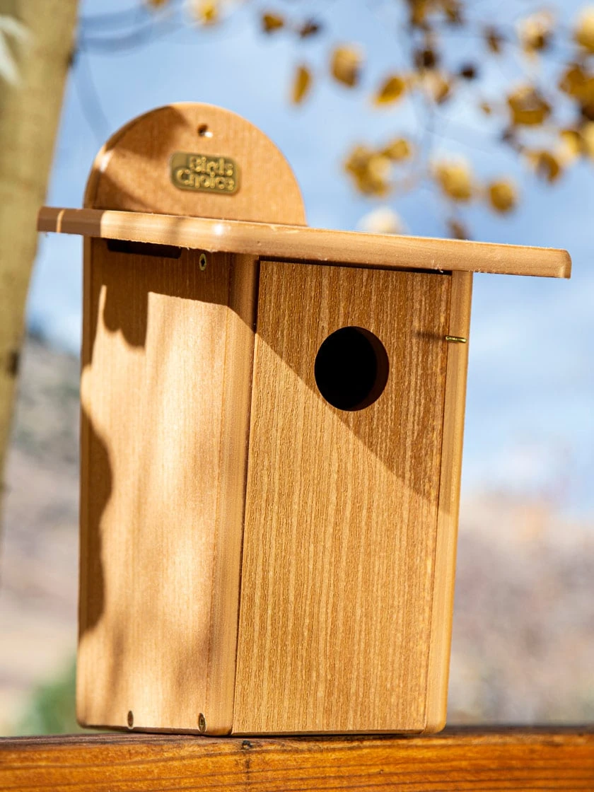 Spruce Creek Bluebird House 3 Spruce Creek Bluebird House