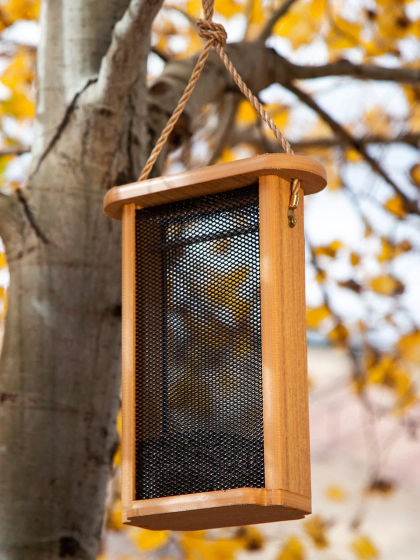Spruce Creek Tall Finch Feeder 3 Spruce Creek Tall Finch Feeder