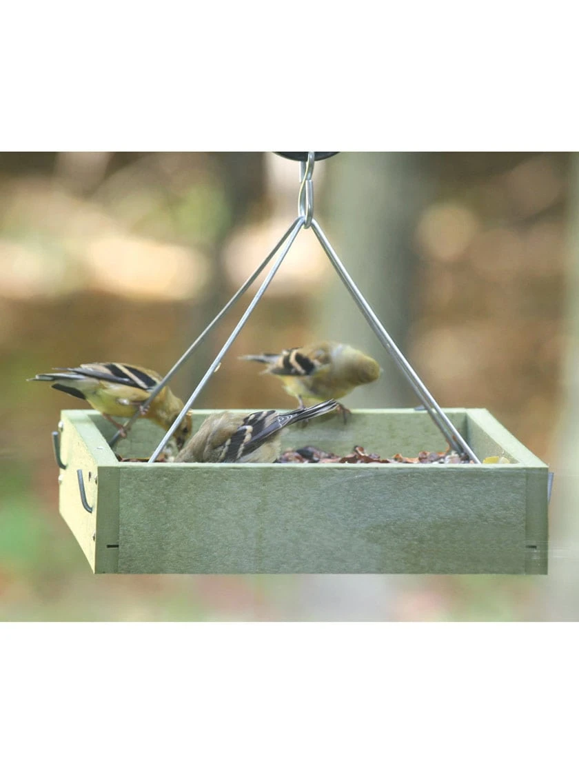 Birds Choice™ Tray Bird Feeder, Small 5 Birds Choice™ Tray Bird Feeder, Small - Image 3
