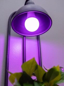 Kira Grow Light Hanging Planter -Cheap A Fresh Yard Store 8613232 5663