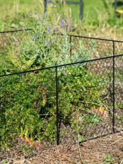 Chicken Wire Critter Fence, 16" High -Cheap A Fresh Yard Store 8613249 0352