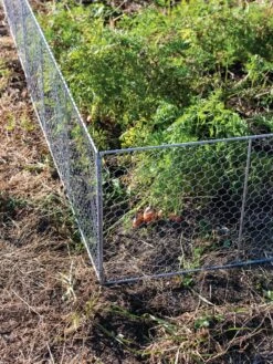 Chicken Wire Critter Fence, 16" High -Cheap A Fresh Yard Store 8613249 0358