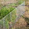 Chicken Wire Critter Fence, 16" High 2 Chicken Wire Critter Fence, 16" High -Cheap A Fresh Yard Store 8613249 0368 chicken wire critter fence 16 inches high
